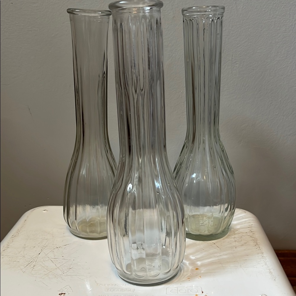 Elegant Clear Glass Vase Set